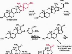 Russell Marker and the Mexican Steroid Hormone Industry